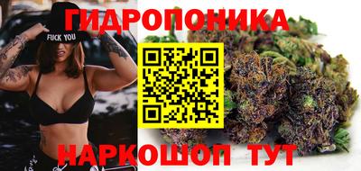 прущий лед Будённовск